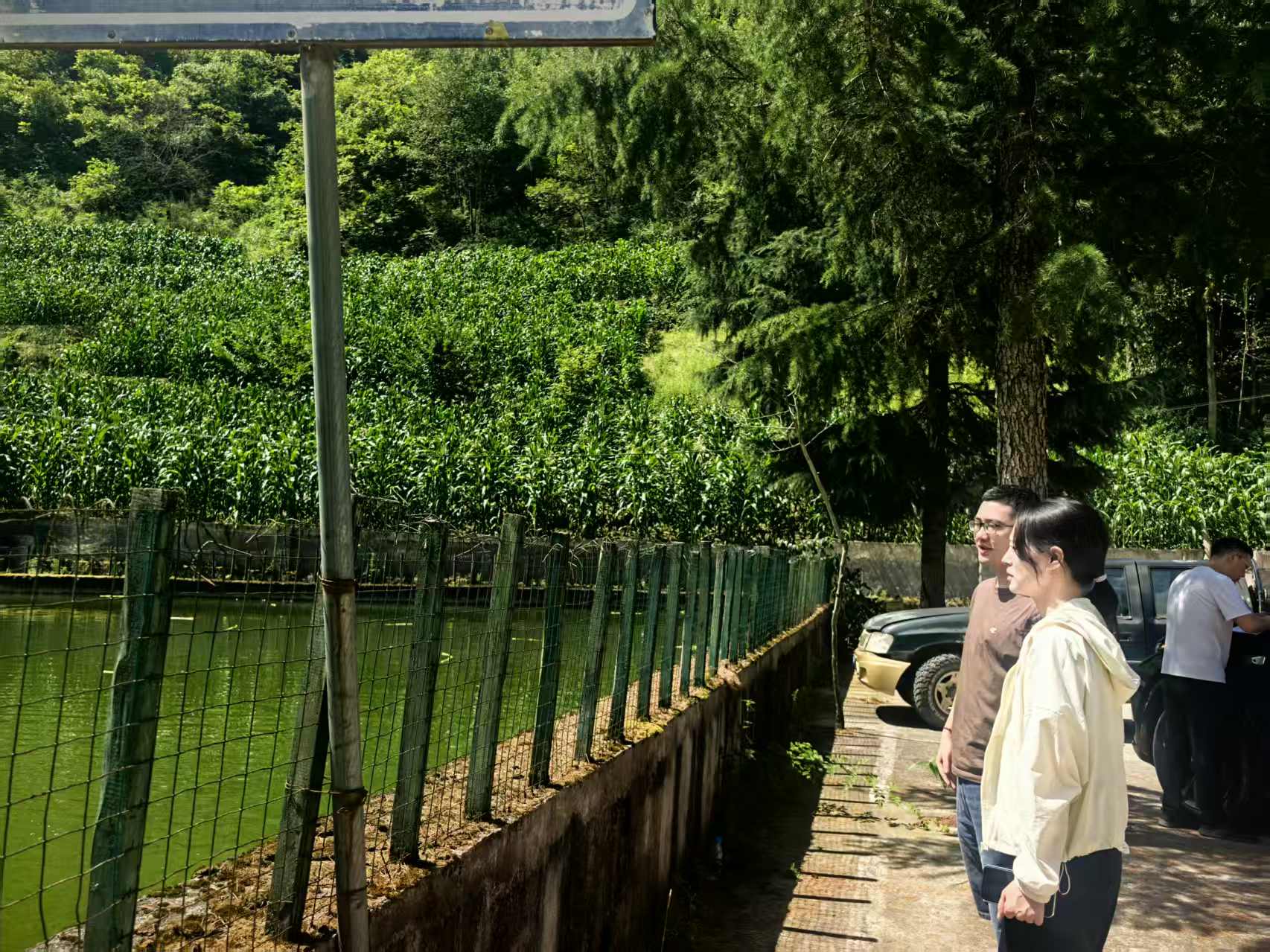山坪塘隐患排查.jpg
