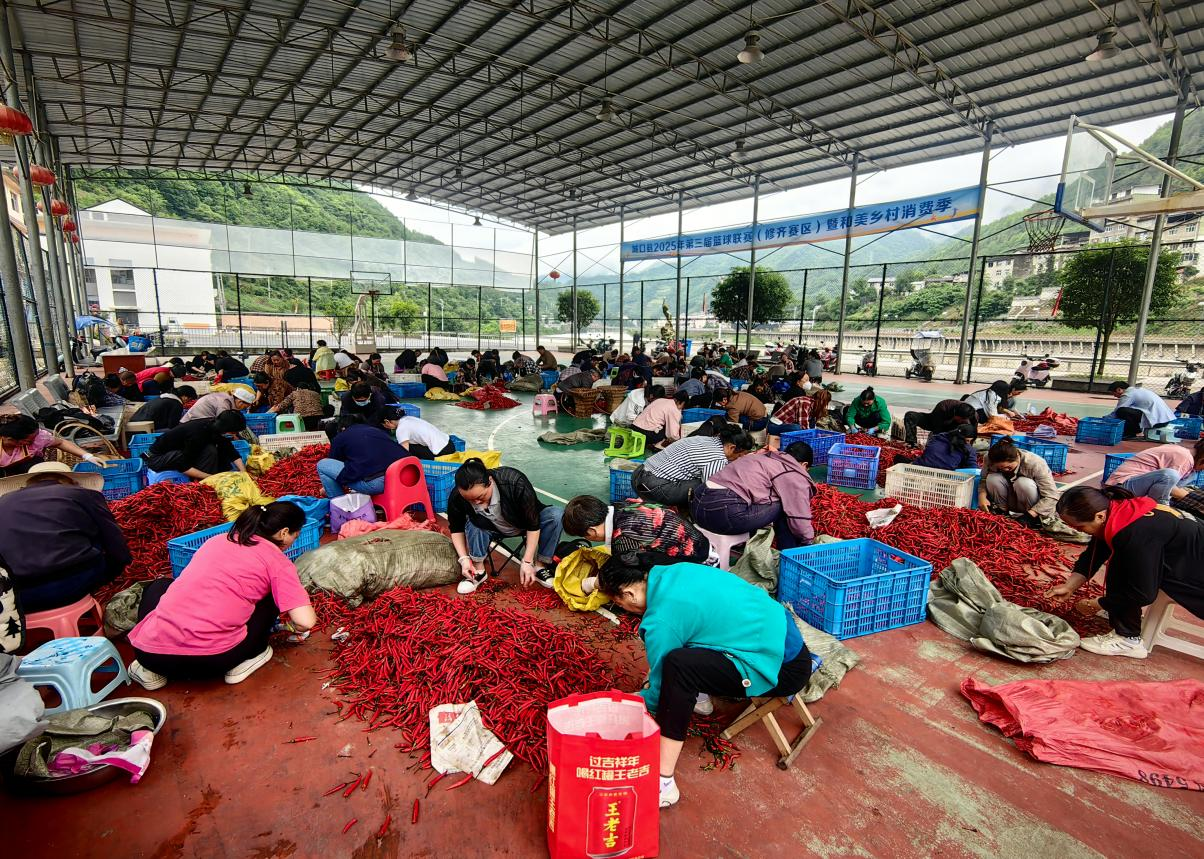 辣椒.JPG