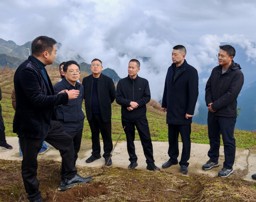 县政协专题视察“大巴山药谷”建设情况