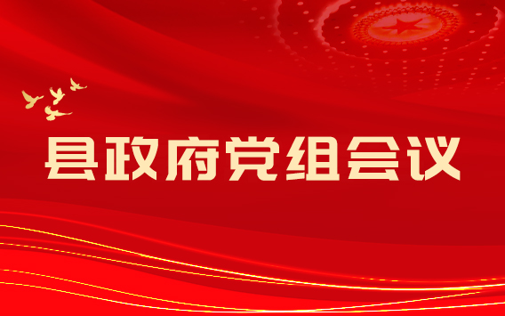 县政府党组2025年第20次（扩大）会议召开