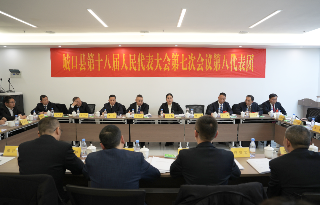 【聚焦两会】王春梅参加县十八届人大七次会议第八代表团审议