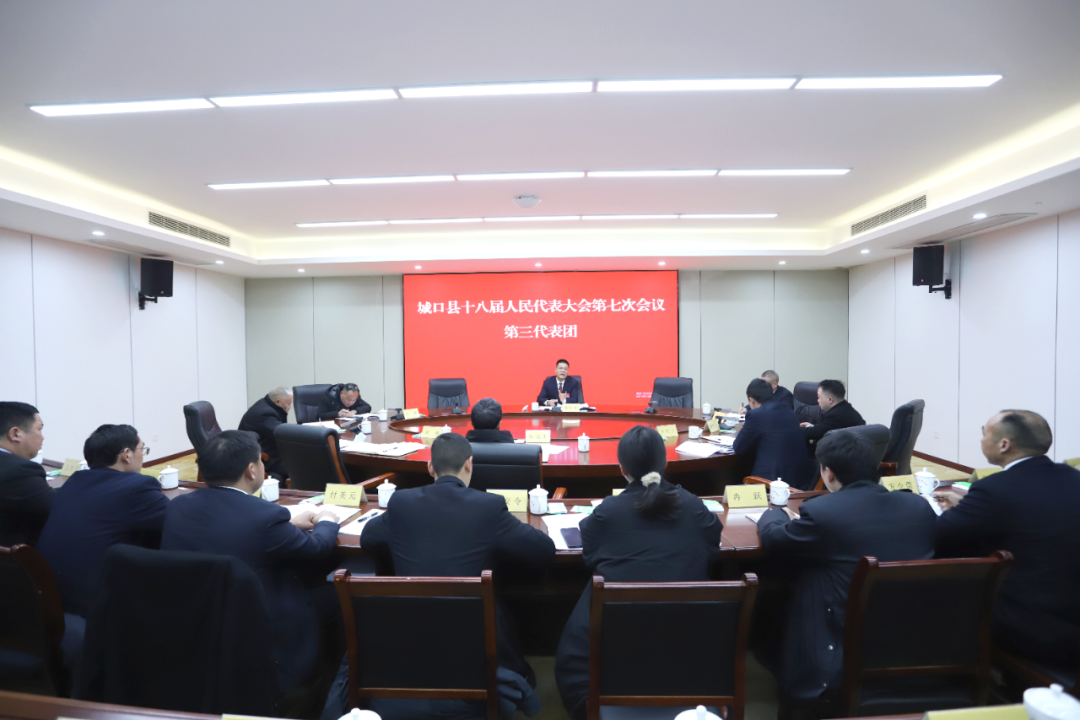 【聚焦两会】滕远东参加县十八届人大七次会议第三代表团分团审议