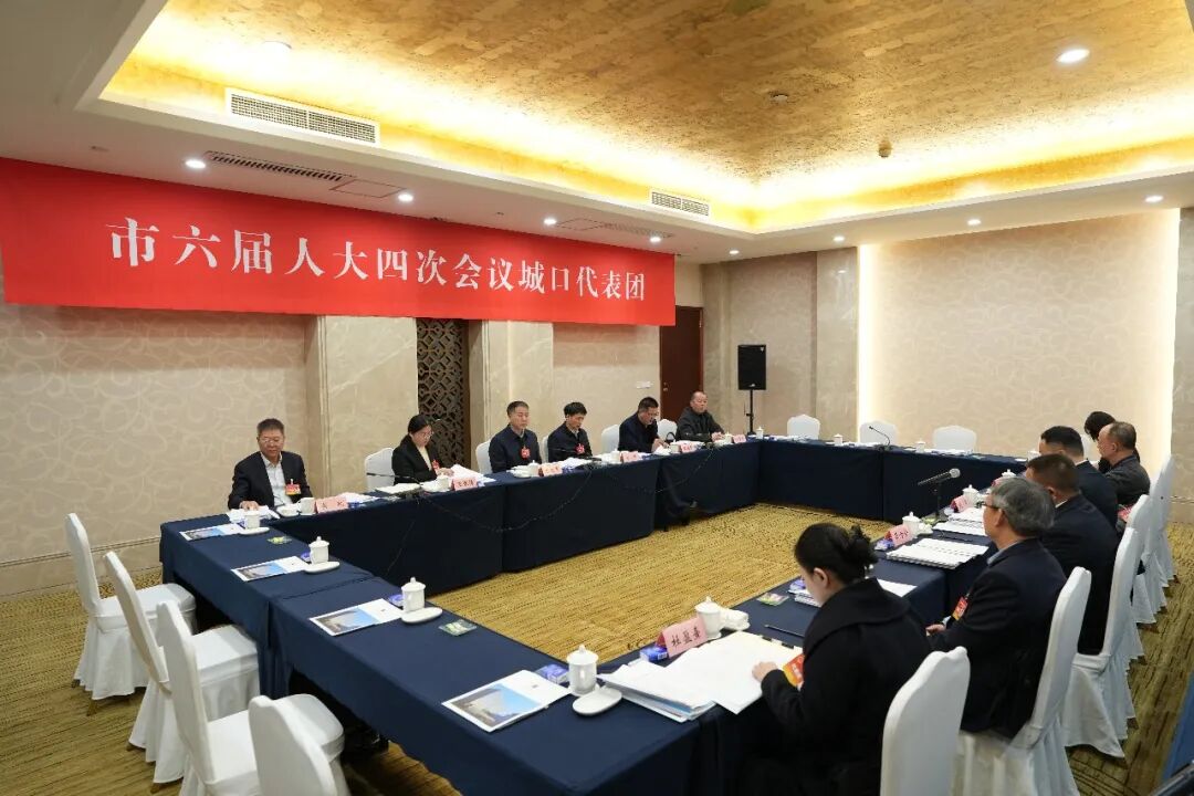 【聚焦2026重庆两会】市六届人大四次会议城口代表团举行第一次全体会议