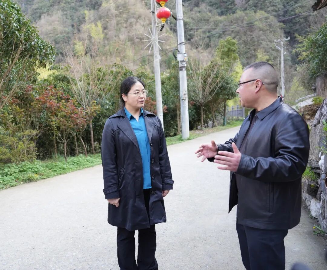 王春梅带队到东安镇督导调研